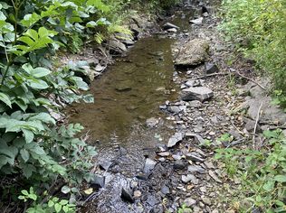 Aufgrund der anhaltenden Trockenheit führen viele Bäche und Flüsse aktuell wenig Wasser