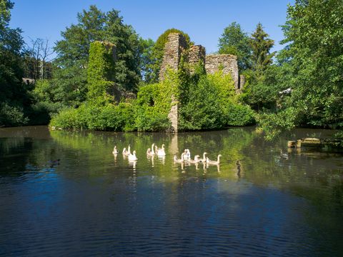 Lindlar - Wasserburgruine Eibach mit Enten